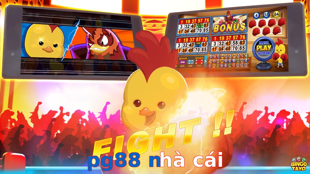 pg88 nhà cái