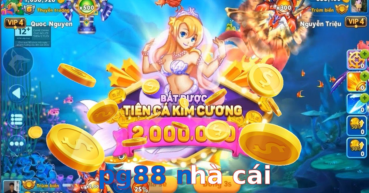 pg88 nhà cái